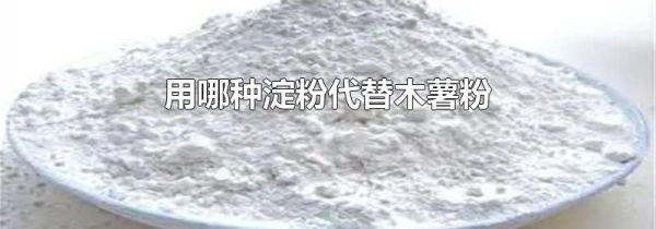 用哪种淀粉代替木薯粉