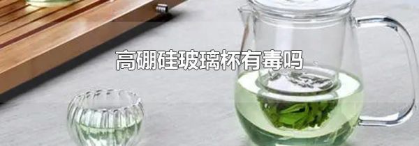 高硼硅玻璃杯有毒吗