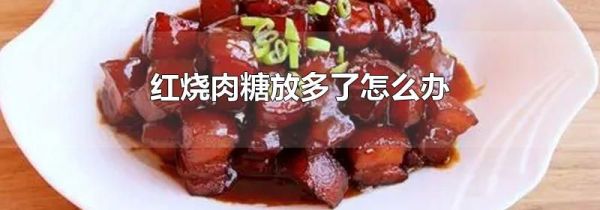 红烧肉糖放多了怎么办