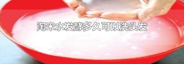 淘米水发酵多久可以洗头发