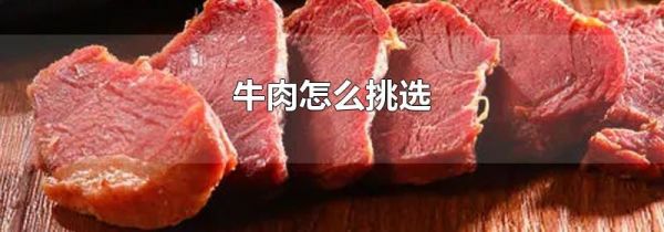 牛肉怎么挑选