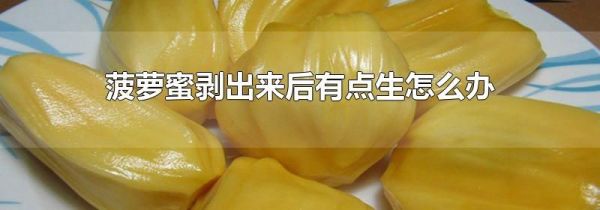菠萝蜜剥出来后有点生怎么办