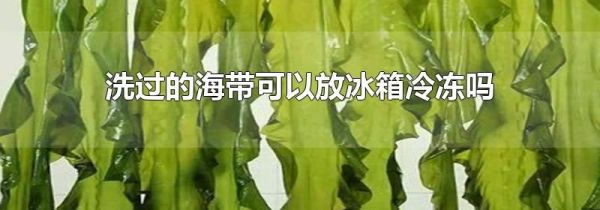 洗过的海带可以放冰箱冷冻吗