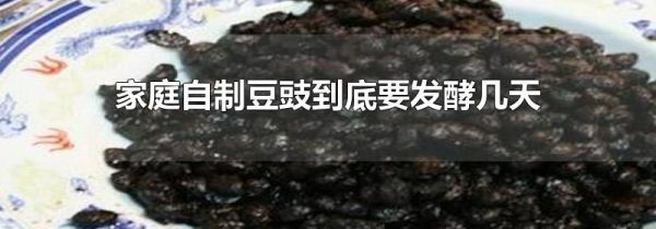 家庭自制豆豉到底要发酵几天