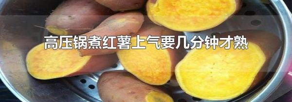 高压锅煮红薯上气要几分钟才熟