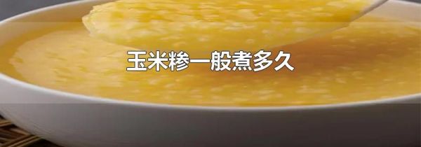 玉米糁一般煮多久