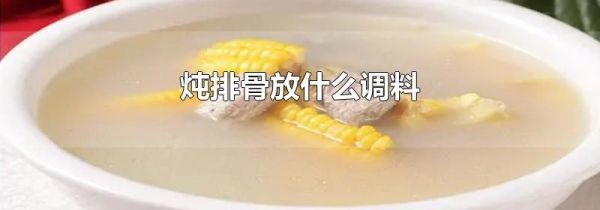 炖排骨放什么调料