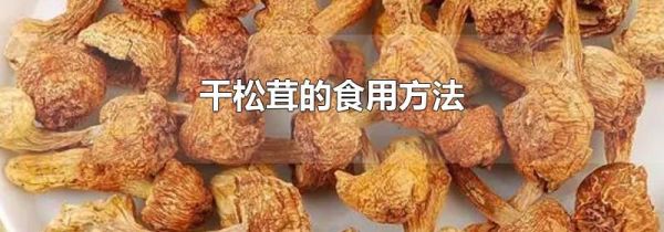 干松茸的食用方法