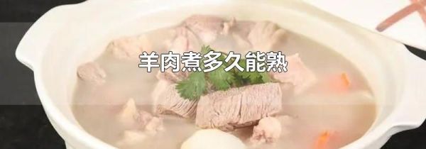 羊肉煮多久能熟