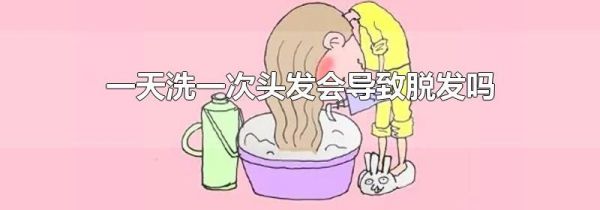 一天洗一次头发会导致脱发吗