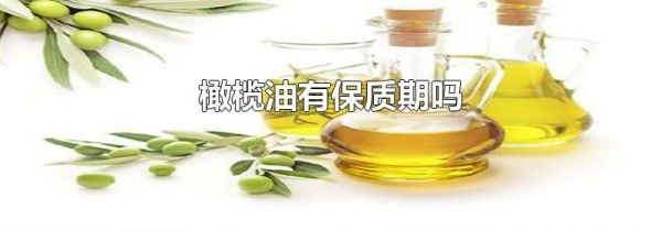 橄榄油有保质期吗