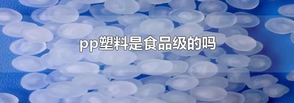 pp塑料是食品级的吗