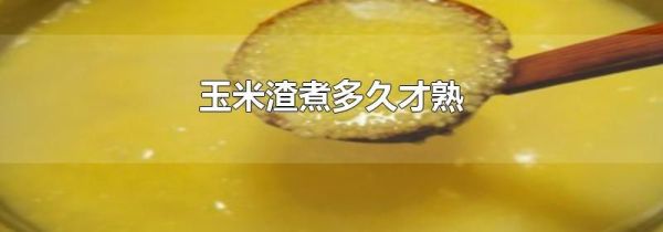 玉米渣煮多久才熟