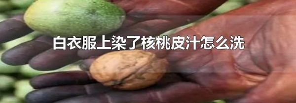 白衣服上染了核桃皮汁怎么洗