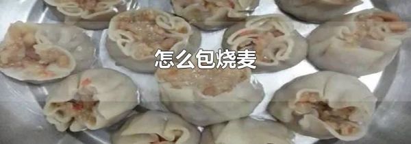 怎么包烧麦