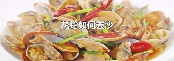 花蛤如何去沙