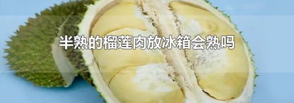 半熟的榴莲肉放冰箱会熟吗