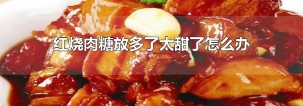 红烧肉糖放多了太甜了怎么办