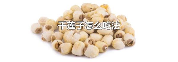 干莲子怎么吃法
