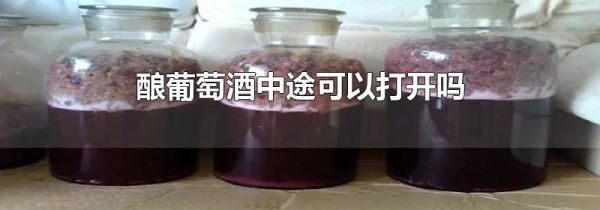 酿葡萄酒中途可以打开吗