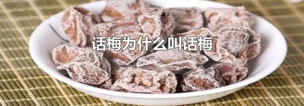 话梅为什么叫话梅