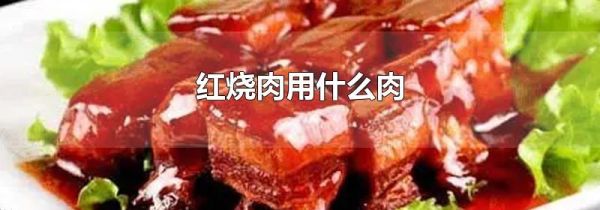 红烧肉用什么肉