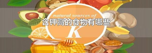 含钾高的食物有哪些