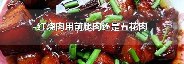 红烧肉用前腿肉还是五花肉