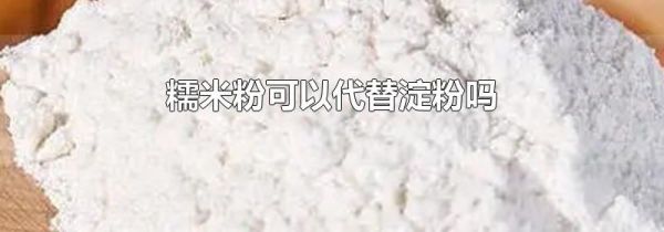 糯米粉可以代替淀粉吗