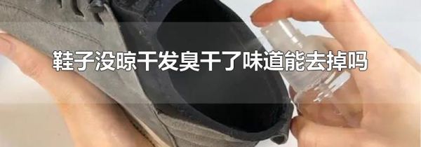 鞋子没晾干发臭干了味道能去掉吗