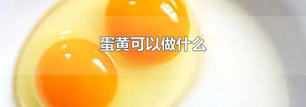 蛋黄可以做什么