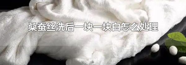 桑蚕丝洗后一块一块白怎么处理