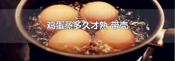 鸡蛋蒸多久才熟 带壳