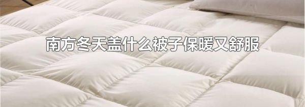 南方冬天盖什么被子保暖又舒服