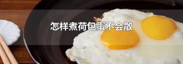 怎样煮荷包蛋不会散