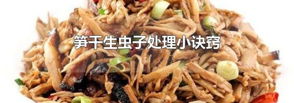 笋干生虫子处理小诀窍