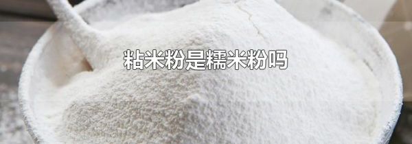 粘米粉是糯米粉吗
