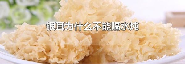 银耳为什么不能隔水炖
