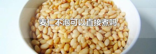 麦仁不泡可以直接煮吗