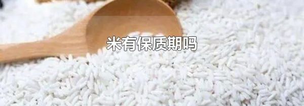 米有保质期吗