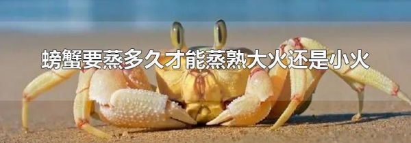 螃蟹要蒸多久才能蒸熟大火还是小火