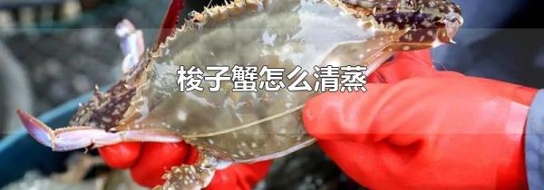 梭子蟹怎么清蒸