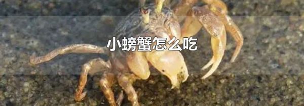 小螃蟹怎么吃