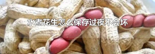 水煮花生怎么保存过夜不会坏