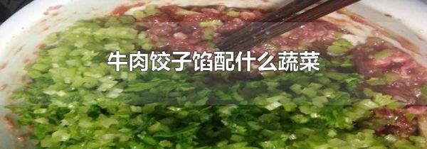 牛肉饺子馅配什么蔬菜