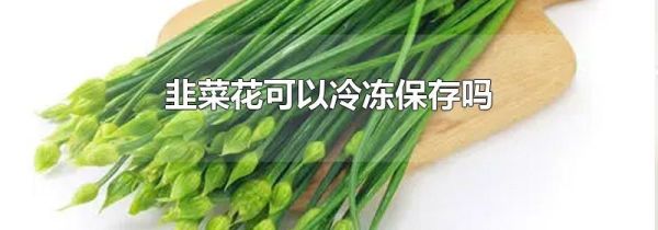 韭菜花可以冷冻保存吗