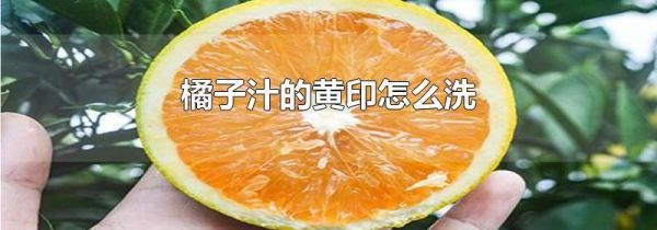 橘子汁的黄印怎么洗