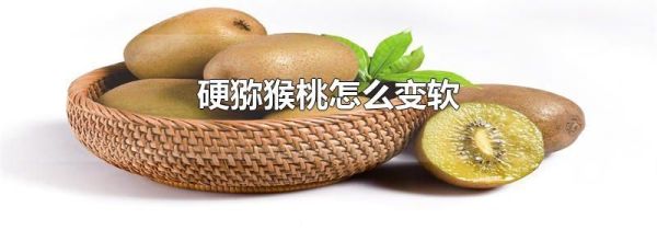 硬猕猴桃怎么变软