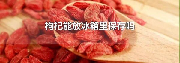 枸杞能放冰箱里保存吗
