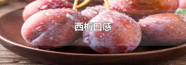 西梅口感